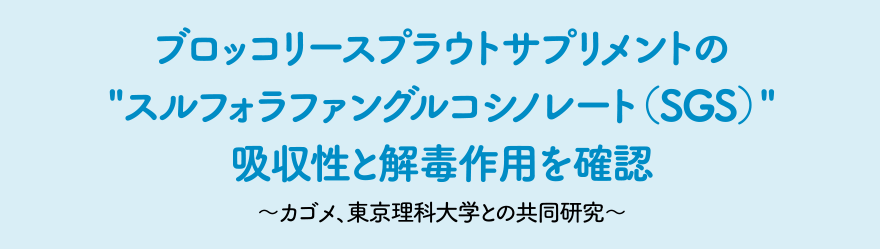 ブロッコリースプラウトサプリメントのスルフォラファングルコシノレート（SGS）吸収性と解毒作用を確認