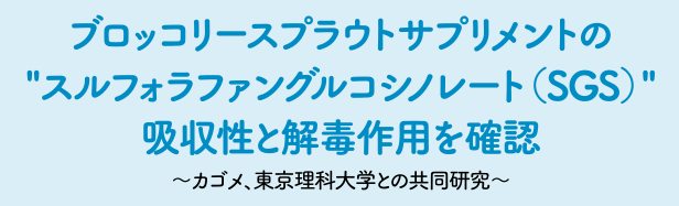 ブロッコリースプラウトサプリメントのスルフォラファングルコシノレート（SGS）吸収性と解毒作用を確認